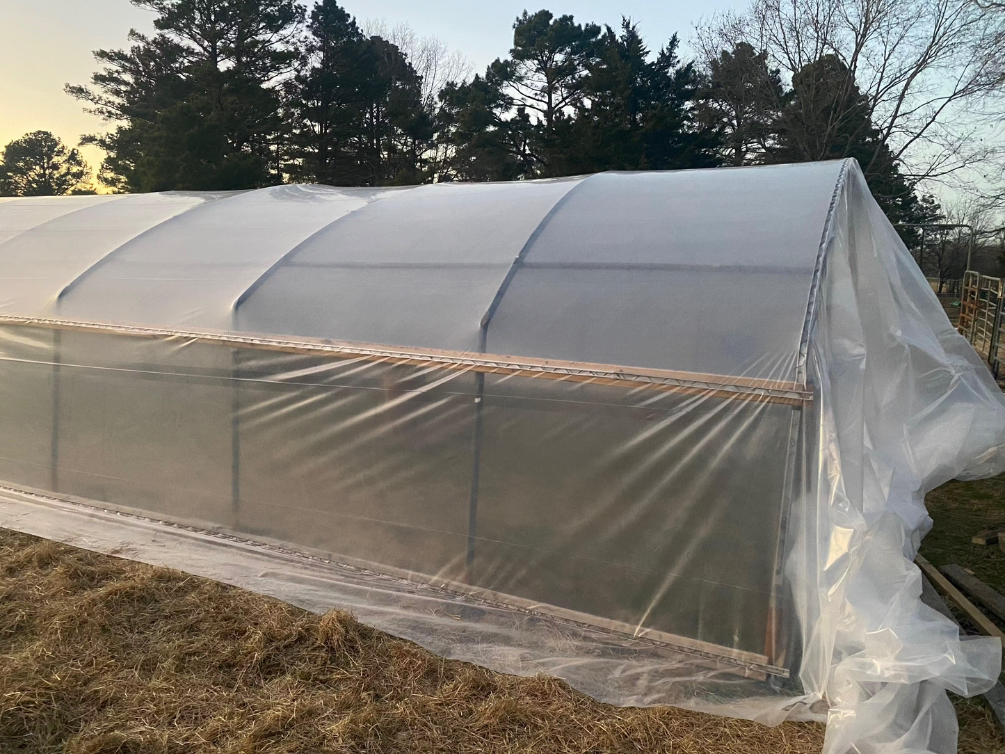 Griffin Sunmaster - 6 mil 4 year Clear UV Resistant Polythene Greenhouse Film