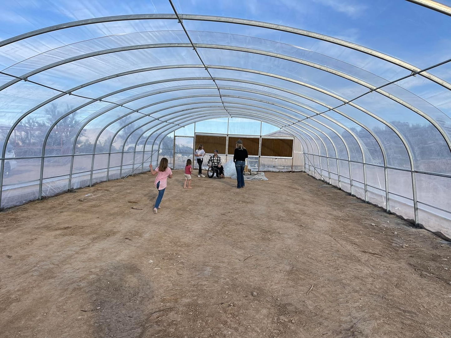 Griffin 8mm Twin Wall AF Clear Polygal Panels - Unbreakable High Impact Panels