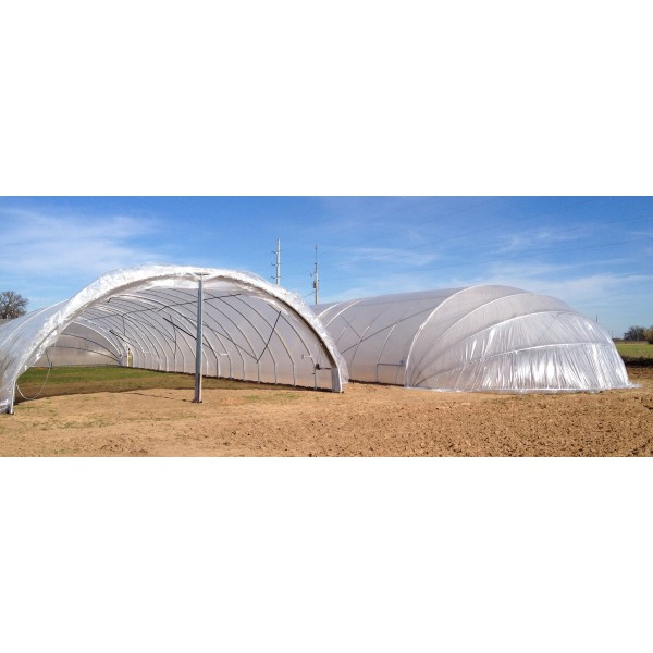 Griffin Sunmaster - 6 mil 4 year Clear UV Resistant Polythene Greenhouse Film