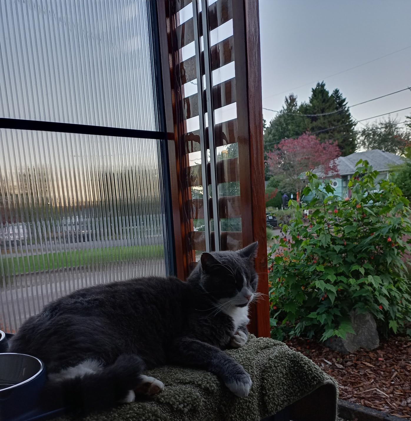 Griffin 8mm Twin Wall AF Clear Polygal Panels - Unbreakable High Impact Panels