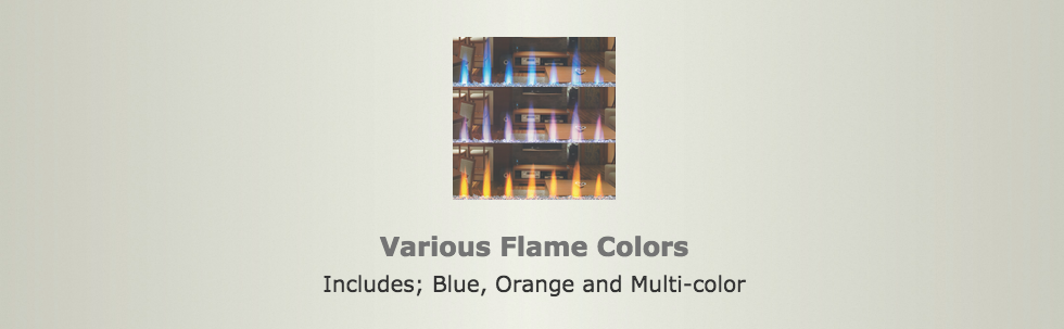 Napoleon® NEFBD50HE CLEARion 50-Inch Built-In See-Through Electric Fireplace with Logs, Crystal Media & Remote