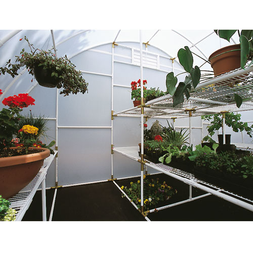 Inside of a small outdoor greenhouse with the arrangement of plants on the bench frames inside the greenhouse