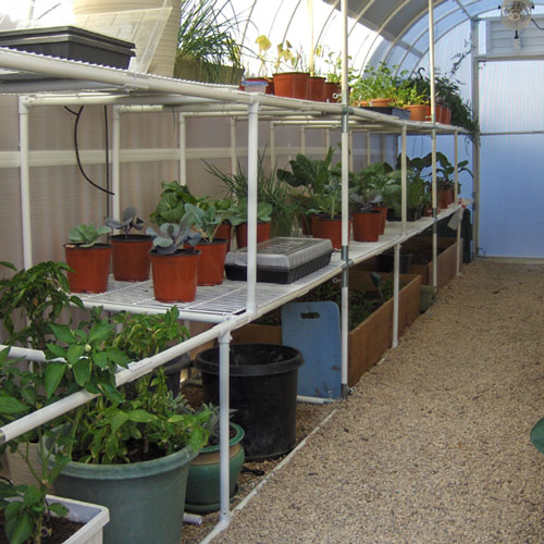 Inside view of 8' X 24' solexx gardeners oasis outdoor greenhouse with growing plants arranged on the bench frames