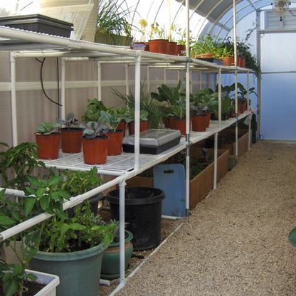 Inside view of 8' X 24' solexx gardeners oasis outdoor greenhouse with growing plants arranged on the bench frames