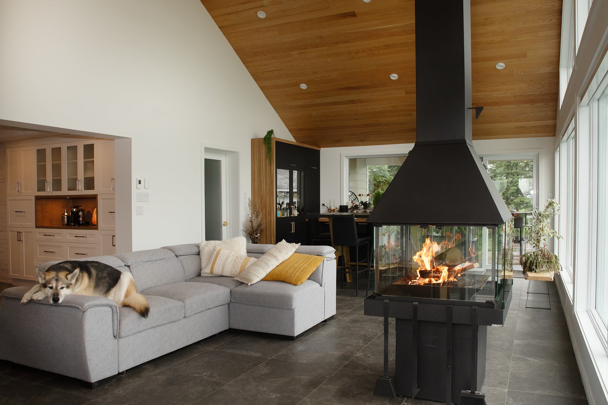 Modern living room with Matte Black Don Bar 9200 series fireplace, gray sectional sofa, and a dog lying on the couch.