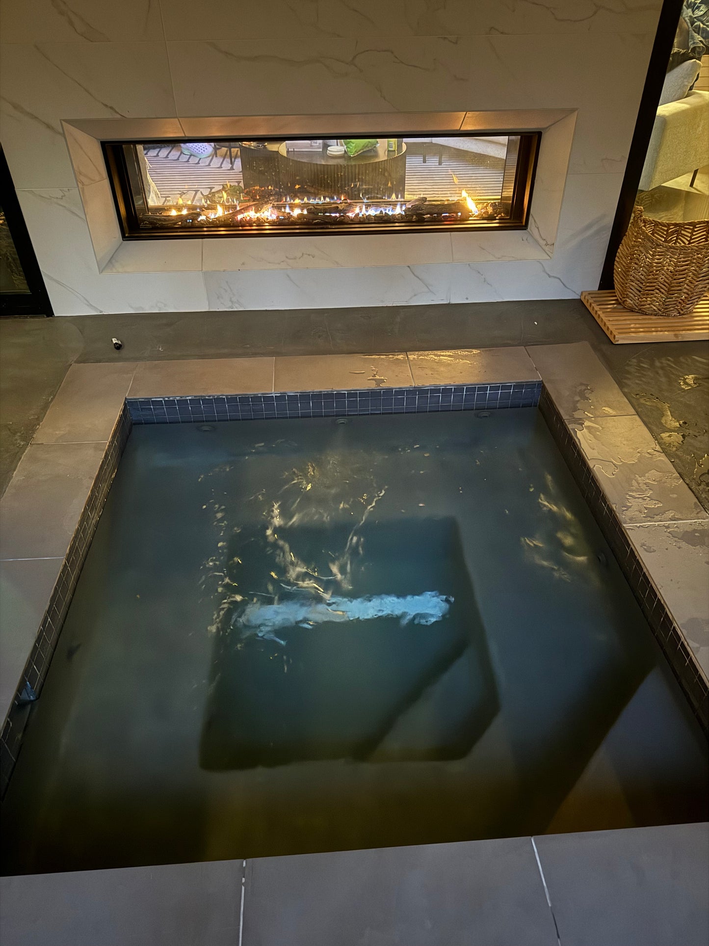 Montigo DISTINCTION Gas Fireplace Inserts | See Through Double-Sided Direct Vent Fireplace