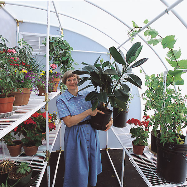 A Smiling woman holding a Black Vase of Tall Green plant in the middle of 8'x12' Solexx harvester small greenhouse