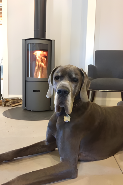 Large dog lying on the floor in front of a modern wood stove. modern rotating wood stove
360 degree fireplace
eco-friendly wood stove
high efficiency fireplace
clean burning wood stove
European design fireplace
contemporary wood-burning stove
STUV 30 fireplace  wood stove dealer Modern fireplaces in Bend Oregon Central and Southern Oregon Eastern Oregon Idaho Washington Northern California Nevada Utah luxury fireplace design
statement fireplace for living room
energy efficient heating solutions
designer 