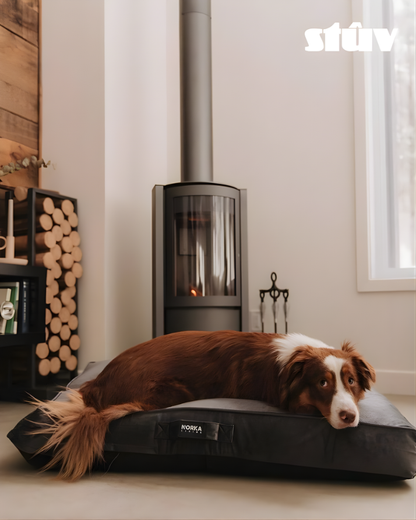 Grey Freestanding STUV 30C highly efficient Indoor wood burning stove, 360 degree rotating fireplace with Dog lying on a black dog bed in front and Log Rack in a corner of the room. 
Premium and compact Indoor log burner fireplace with high-quality steel construction, Multi-Use Function and wide range BTU heat Output. 
Reduce carbon footprint with Stuv 30C clean wood burning stove from Smokey Mountain Fireplace, Eco-friendly and Best for the money fireplace.