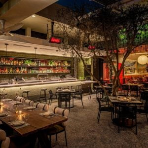 Bar Ceiling Hanged Bromic Platinum Smart-heat gas 500 Series NG