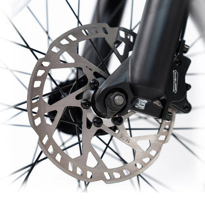 HappyRun G70 750W Hydraulic Brakes Fast Electric Cargo Bikes