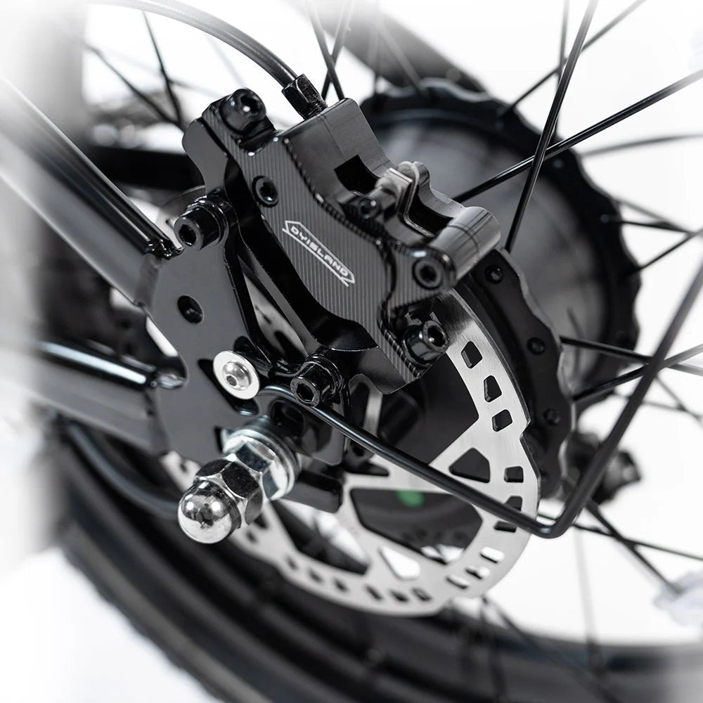 HappyRun G70 750W Hydraulic Brakes Fast Electric Cargo Bikes