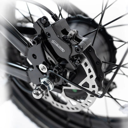 HappyRun G70 750W Hydraulic Brakes Fast Electric Cargo Bikes