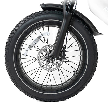 HappyRun G70 750W Hydraulic Brakes Fast Electric Cargo Bikes