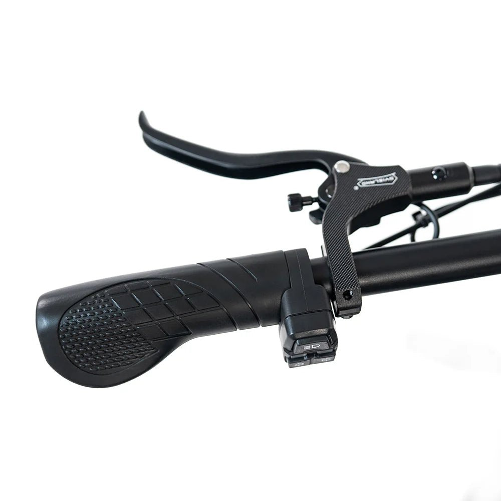 HappyRun G70 750W Hydraulic Brakes Fast Electric Cargo Bikes