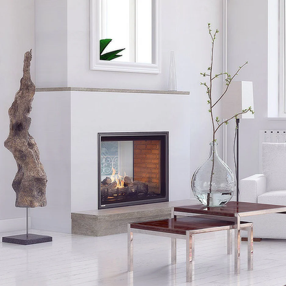 Montigo DIVINE MULTI H42FSD See-Through Gas Fireplace