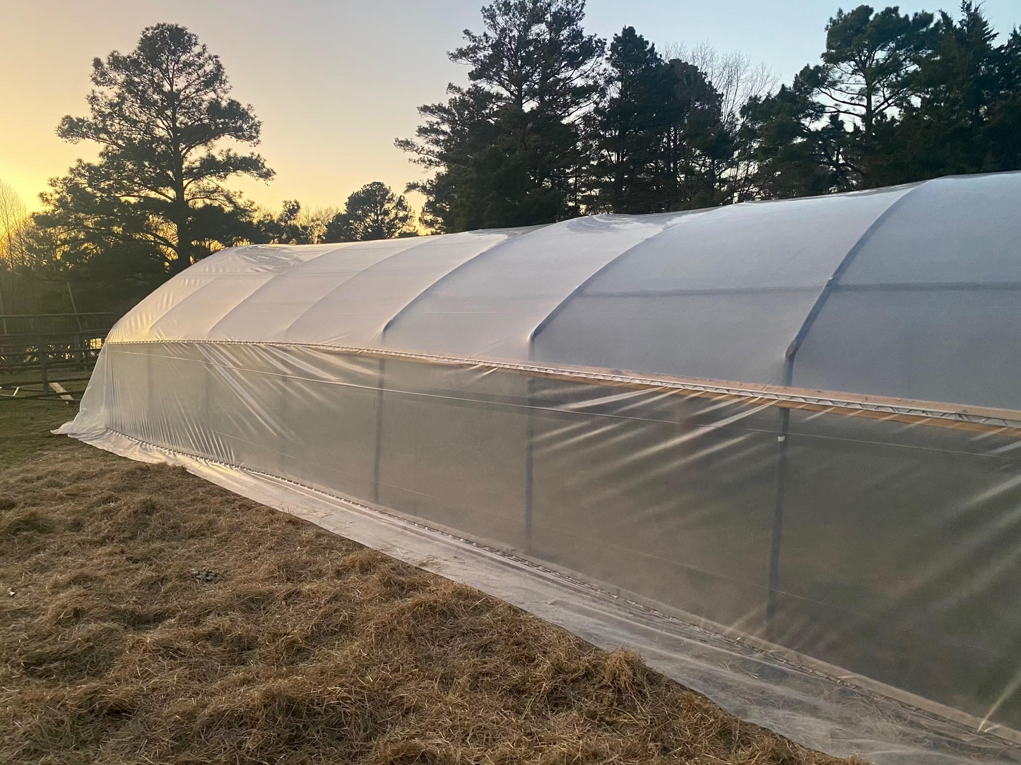Griffin Sunmaster - 6 mil 4 year Clear UV Resistant Polythene Thermal Greenhouse Film