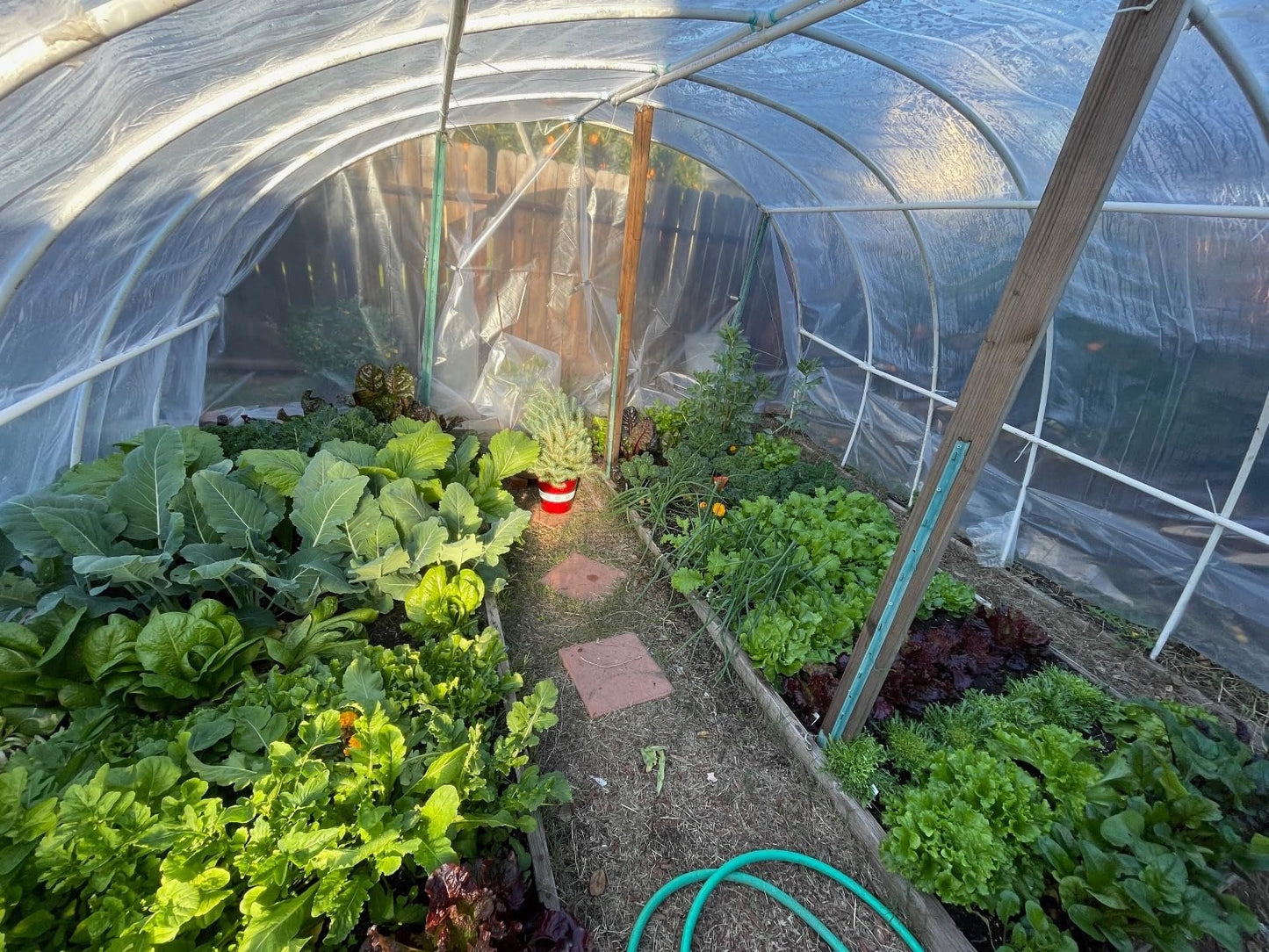 Griffin Tufflite IV - Clear 6 mil UV Protected Greenhouse Film