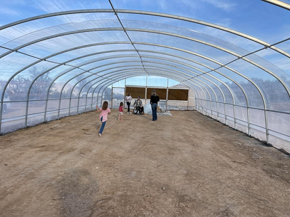 Griffin 8mm Twin Wall AF Clear Polygal Panels - Unbreakable High Impact Panels