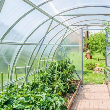 Griffin Sunmaster - 6 mil 4 year Clear UV Resistant Polythene Thermal Greenhouse Film