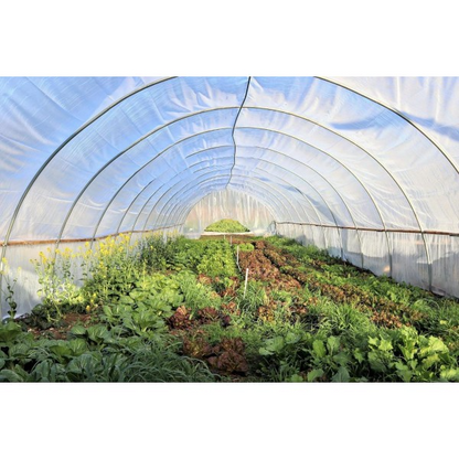Griffin Sunmaster - 6 mil 4 year Clear UV Resistant Polythene Thermal Greenhouse Film