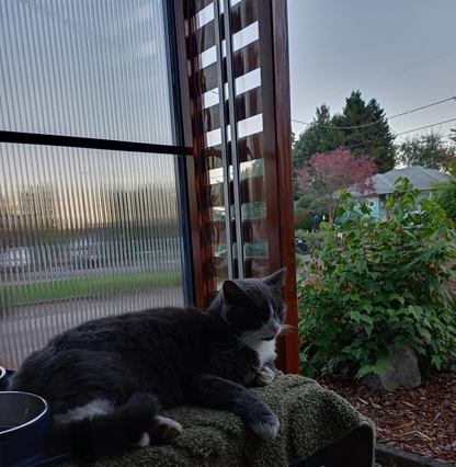 Griffin 8mm Twin Wall AF Clear Polygal Panels - Unbreakable High Impact Panels