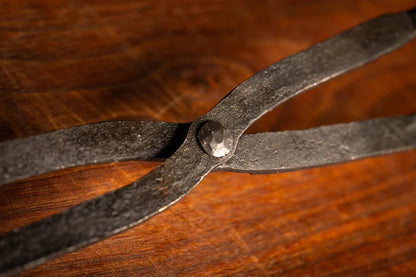 Close of view of the raven's claw