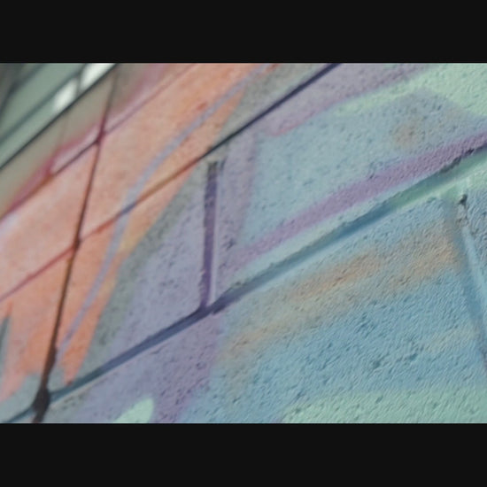 6 Burners, Napoleon, Prestige Pro, Gas, Propane, Burner, Grill, Rsib, Phantom, Travelq