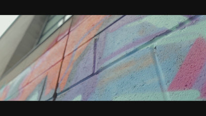 6 Burners, Napoleon, Prestige Pro, Gas, Propane, Burner, Grill, Rsib, Phantom, Travelq