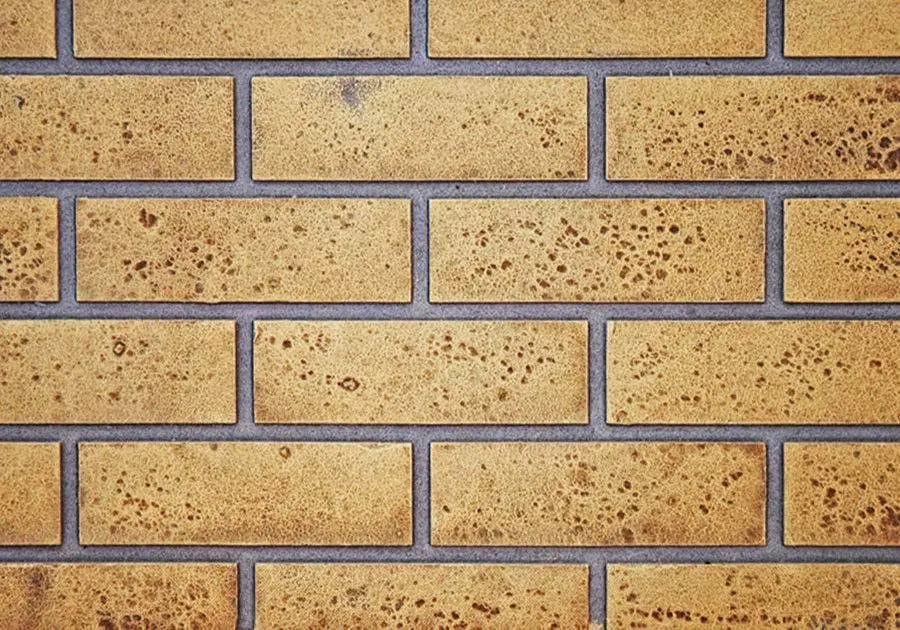 Napoleon KNIGHTSBRIDGE™ Gas Stove 35,000 BTU's