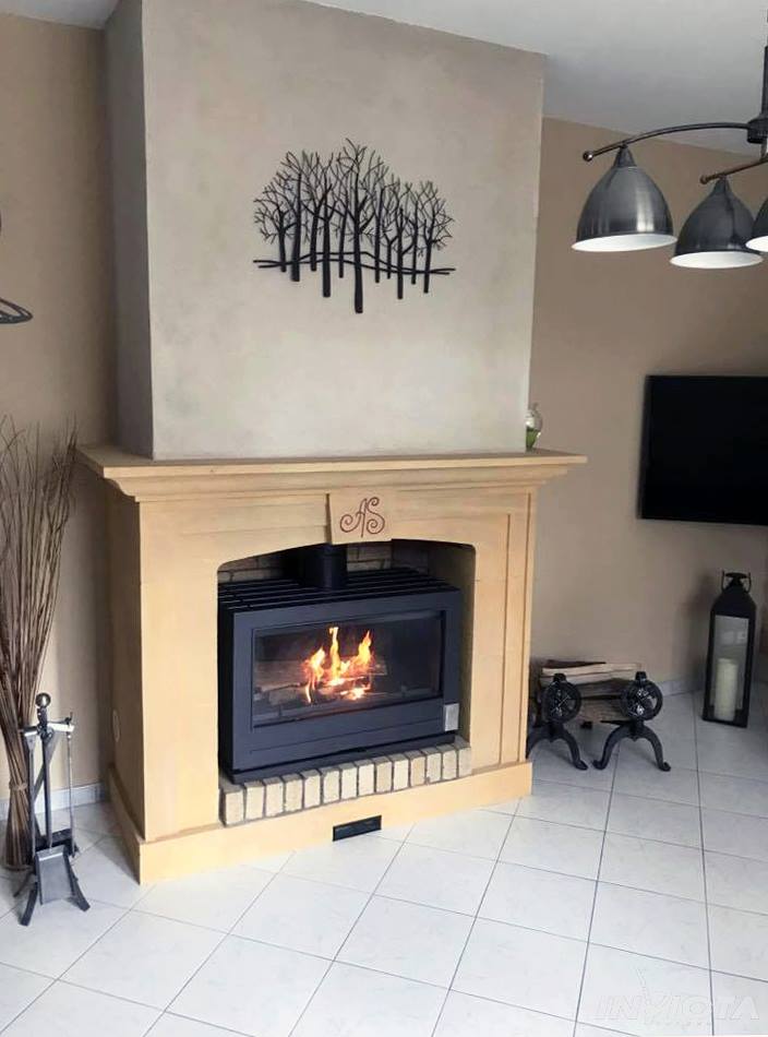 Invicta Preston Single sided Glass Wood burning stove