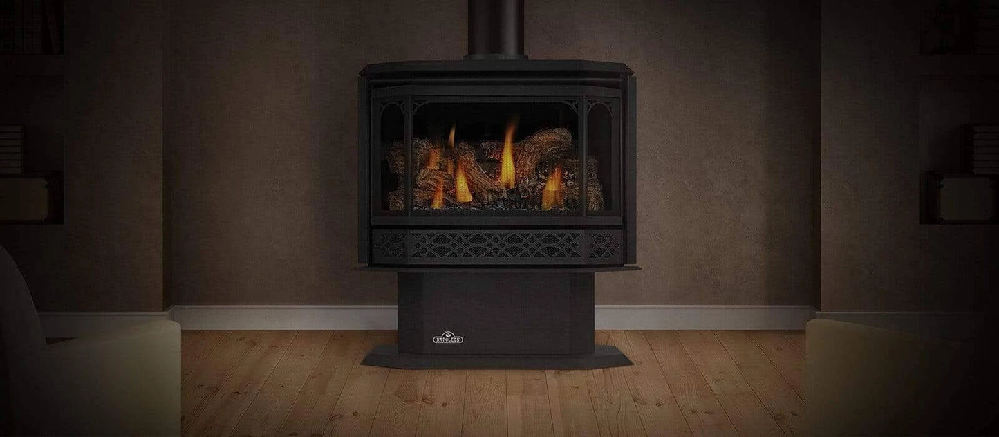 Napoleon Haliburton Series Gas Stove GDS28-1NEA